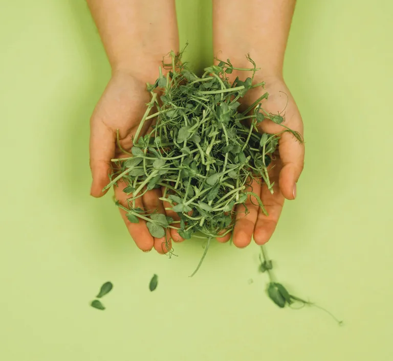 refer a friend image